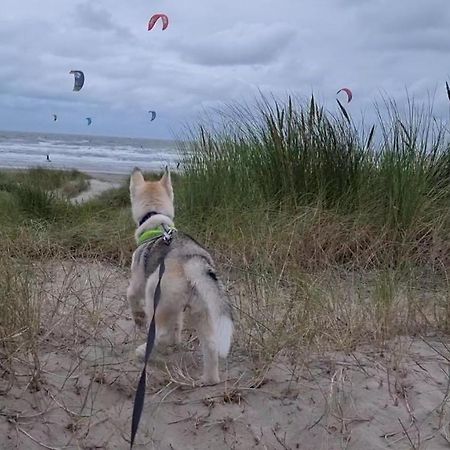 Surfin Villa Koksijde Eksteriør billede