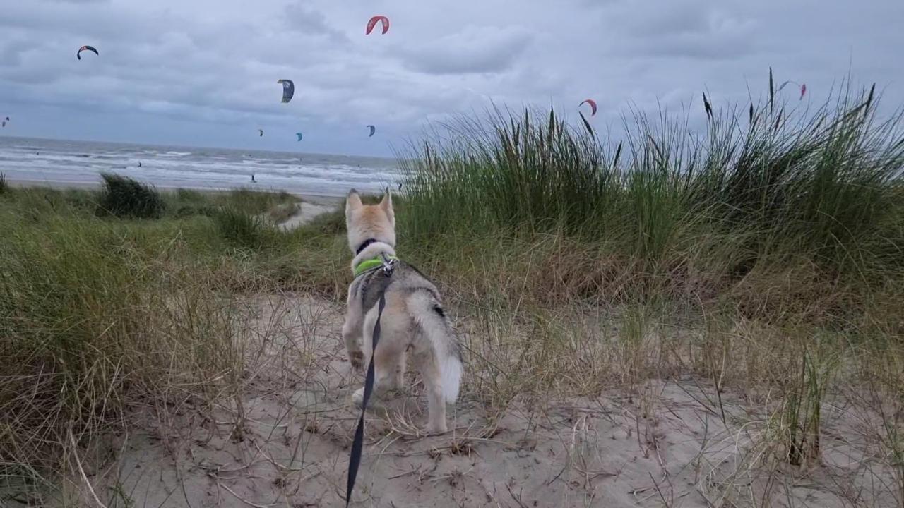 Surfin Villa Koksijde Eksteriør billede